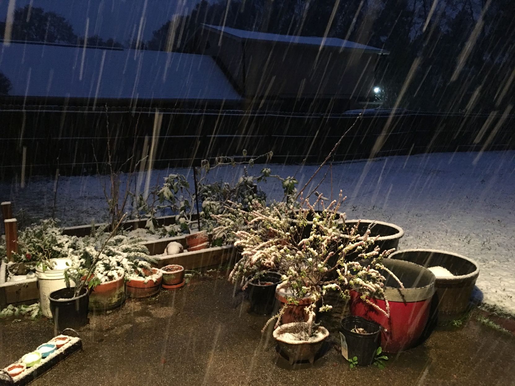 snow2.JPG
